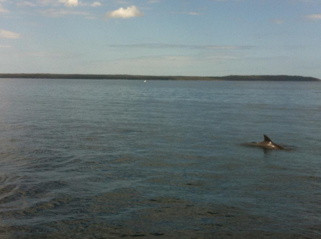 Huskisson Beach Motel Екстериор снимка