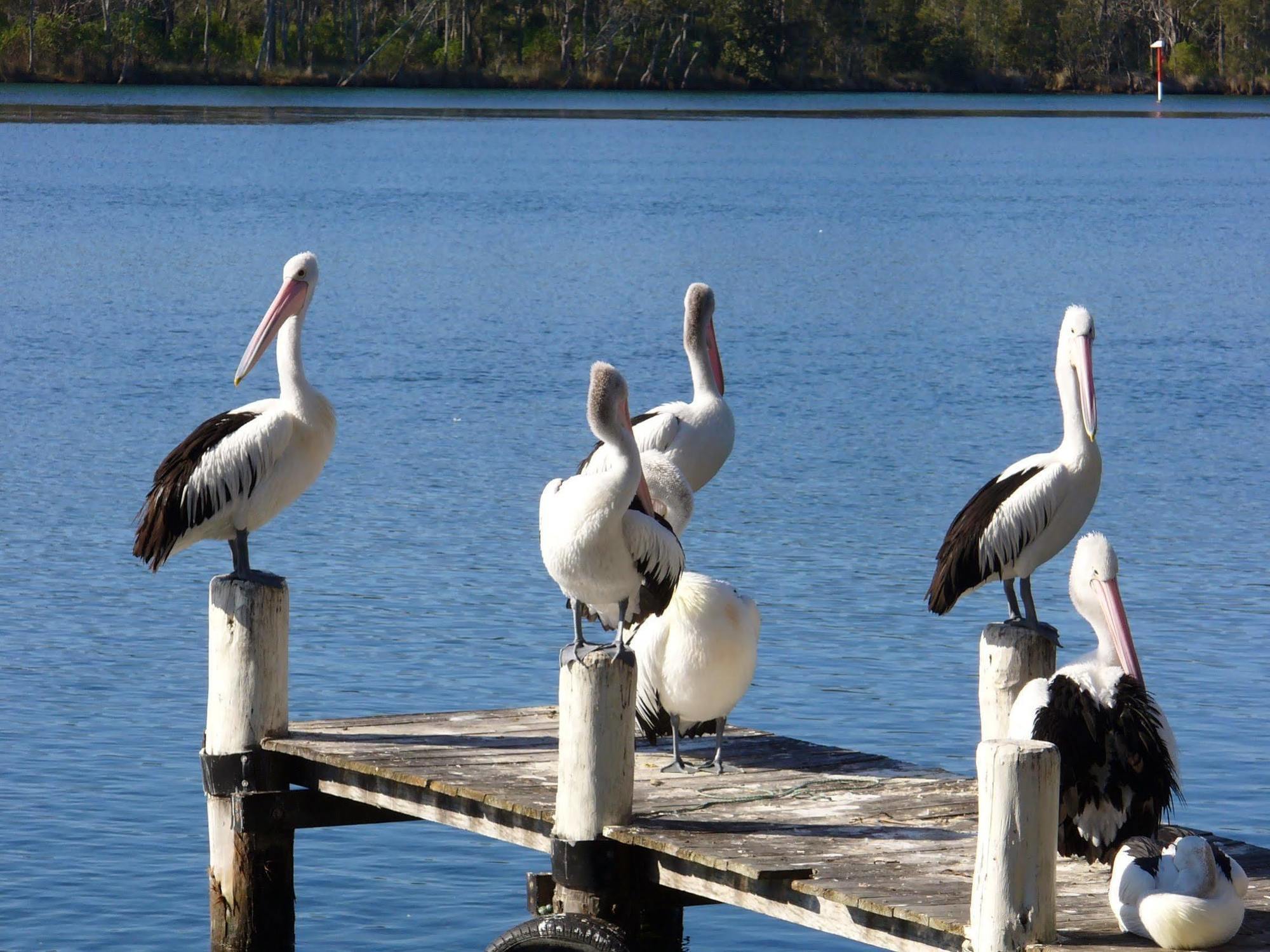 Huskisson Beach Motel Екстериор снимка